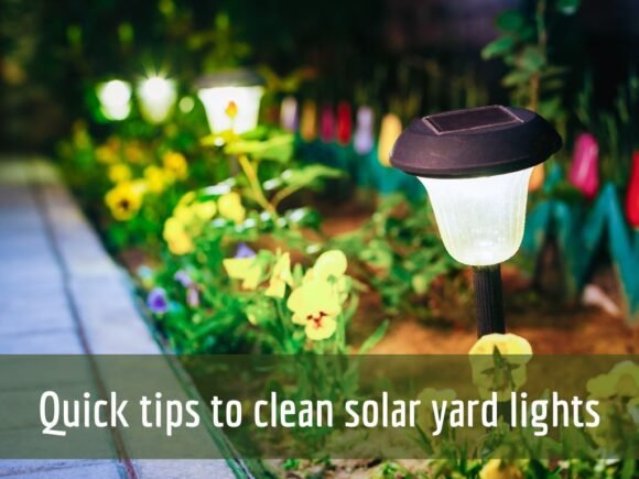 clean solar yard lights