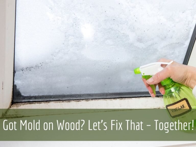 how to removemold from Wood